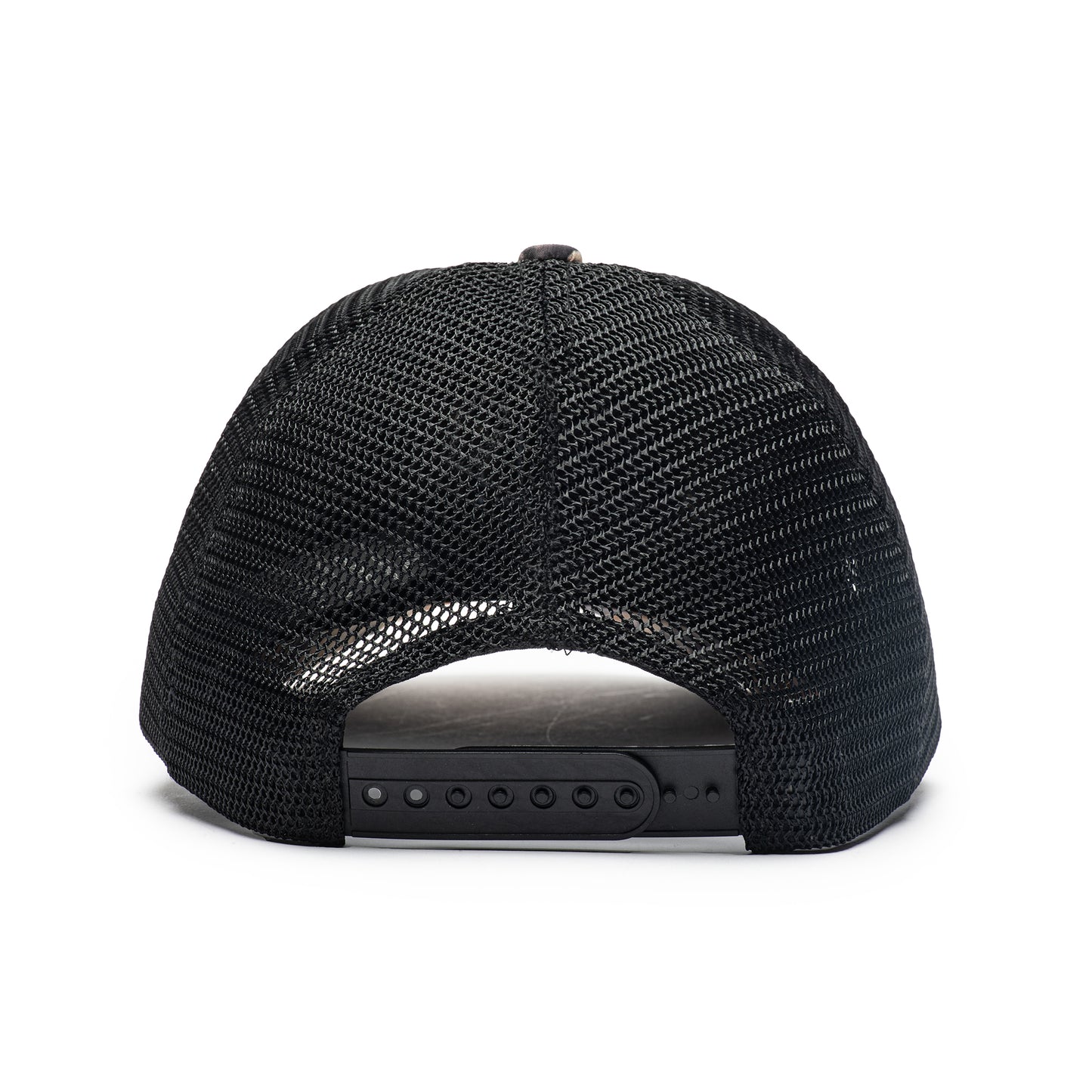 Companion Snapback